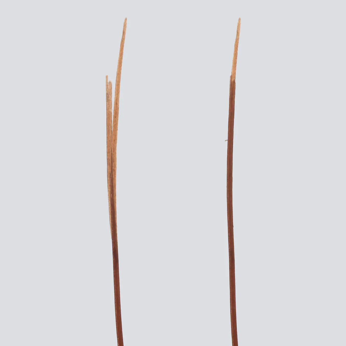 Virtue Split End Serum - 20mL