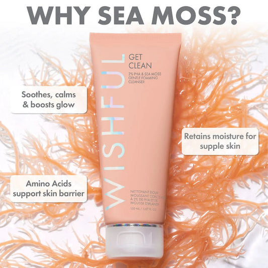 Wishful - Get Clean 2% PHA & Sea Moss Gentle Foaming Cleanser | 50 mL