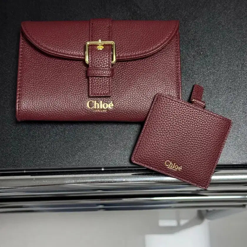 Chloe clutch pouch