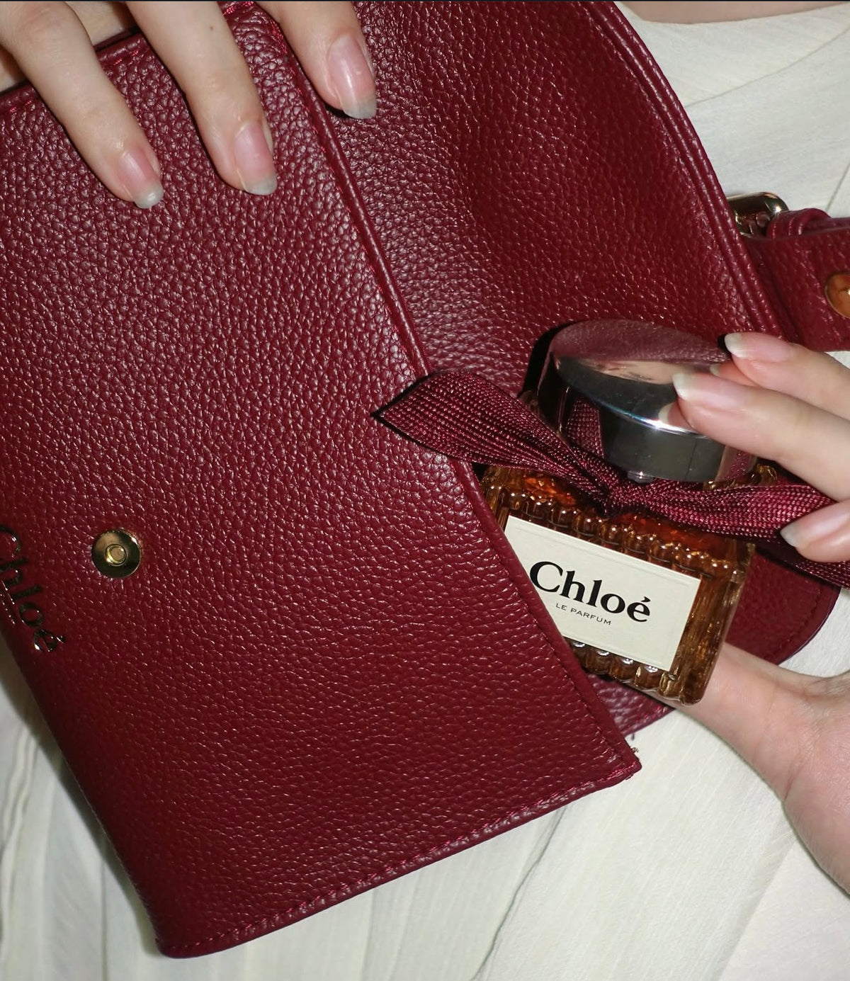 Chloe clutch pouch