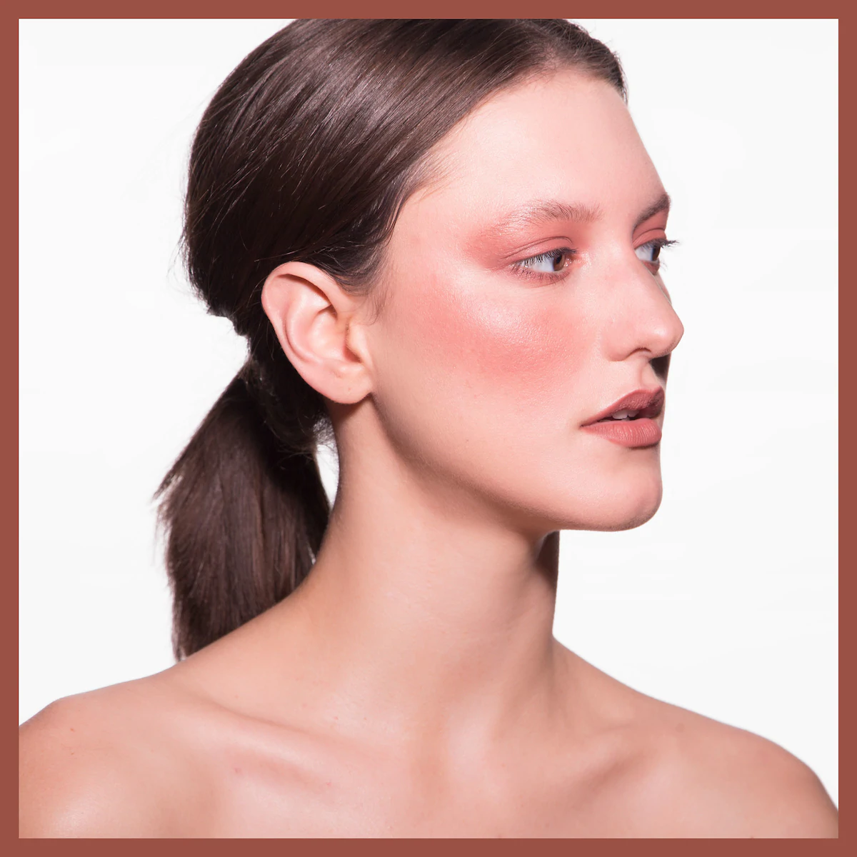 Artist Color Pencil: Eye, Lip & Brow Pencil