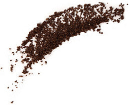 Coconut Coffee Scrub