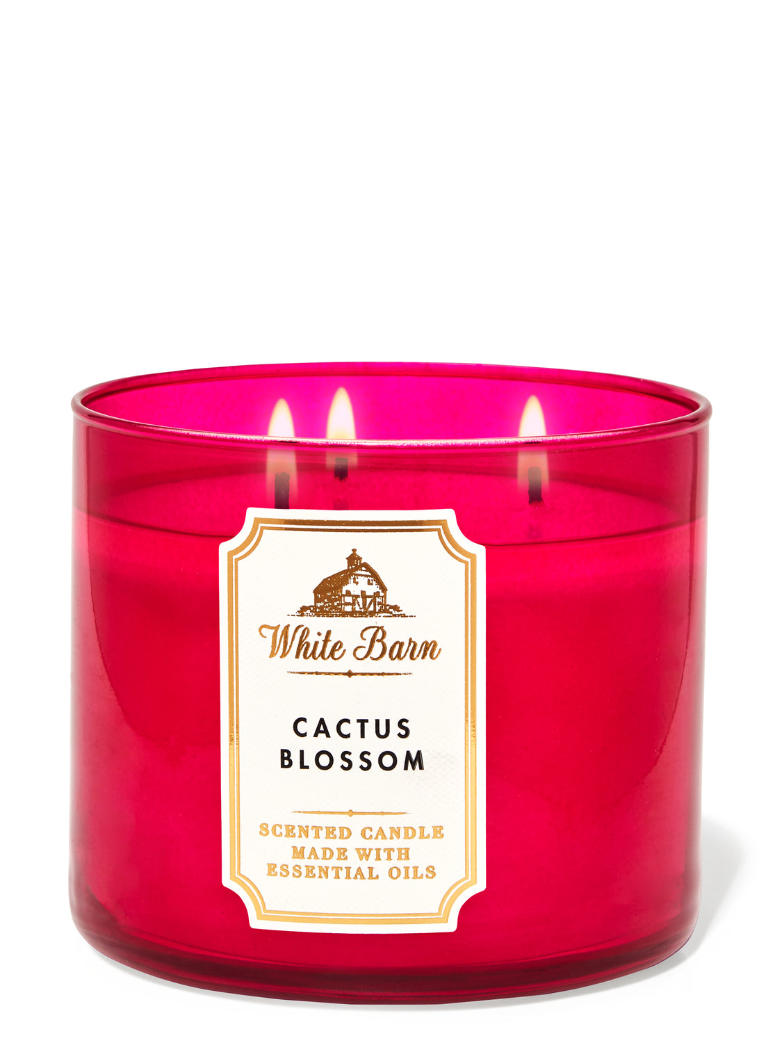 CACTUS BLOSSOM