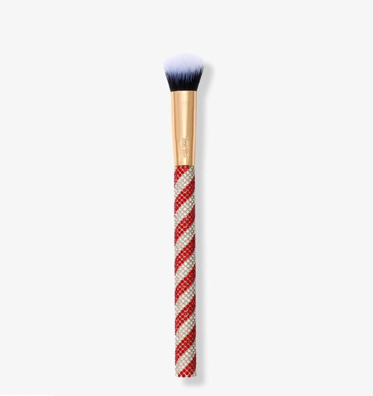 TARTE Limited Edition Concealer Paw Brush
